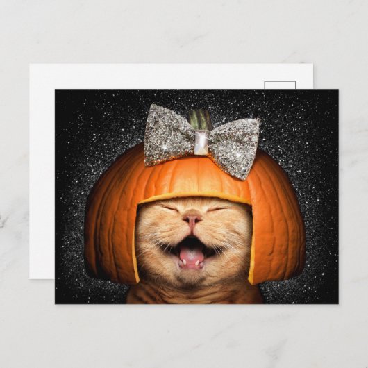 Kat Met Pompoen Haar Uitnodiging Briefkaart (Voorkant / Achterkant)