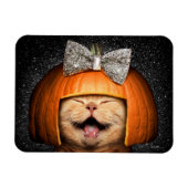 Kat met pompoenhaar magneet (Horizontaal)