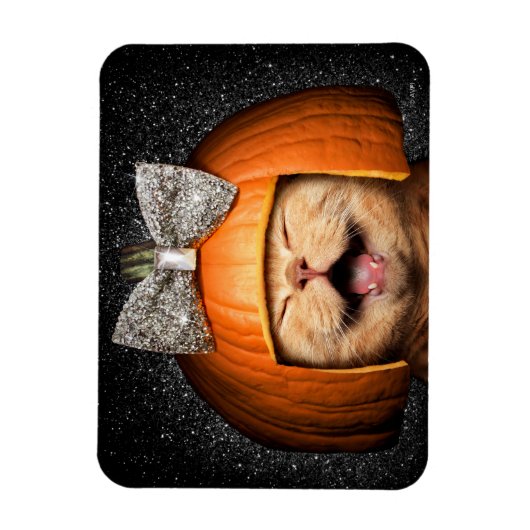 Kat met pompoenhaar magneet (Verticaal)