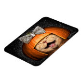 Kat met pompoenhaar magneet (Linkerzijde)