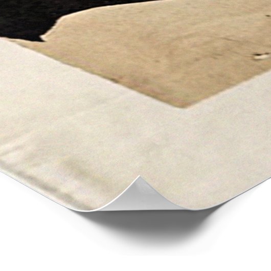 kat met Poster (Hoek)