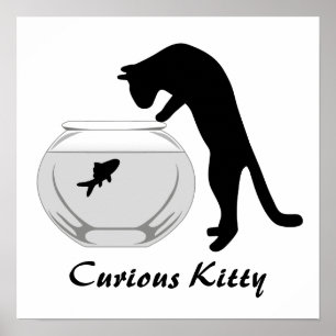 Kat met Poster van de vis Bowl