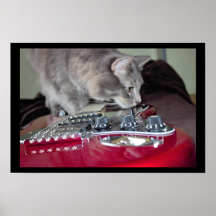 Kat met rode elektrische gitaar poster