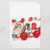 Kat met rode kerstkerstkerstkerstsieraad briefpapier (Voorkant / Achterkant)