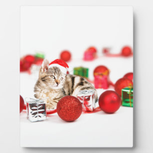 Kat met rode kerstkerstkerstkerstsieraad fotoplaat