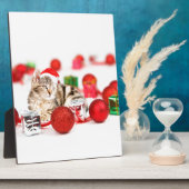 Kat met rode kerstkerstkerstkerstsieraad fotoplaat (Zijkant)