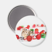 Kat met rode kerstkerstkerstkerstsieraad magneet (Voorkant / Achterkant)