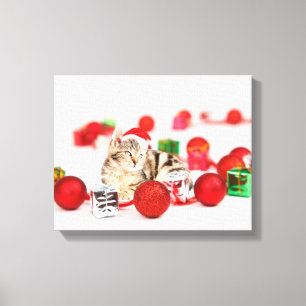 Kat met rode kerstmuts canvas afdruk