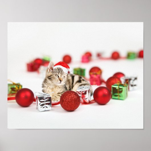 Kat met rode kerstmuts poster (Voorkant)