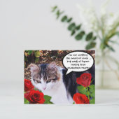 KAT MET RODE ROSEN BRIEFKAART (Staand voorkant)