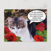 KAT MET RODE ROSEN BRIEFKAART (Voorkant)
