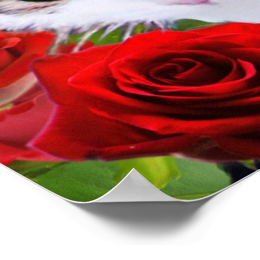 KAT MET RODE ROSEN POSTER (Hoek)