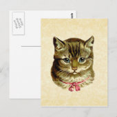  kat met roze romp briefkaart (Voorkant / Achterkant)