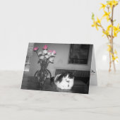 Kat met roze rozen Verjaardag Kaart (Gele Bloem)