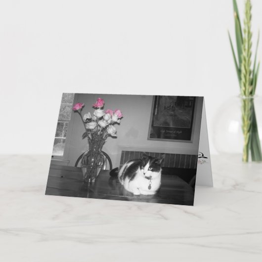 Kat met roze rozen Verjaardag Kaart (Voorkant)