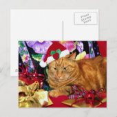 Kat met Sinterklaas Pet - Briefkaart (Voorkant / Achterkant)