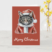 Kat met Sinterklaaspak - Kerst 1 Kaart (Gele Bloem)