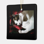 kat met sneeuwschoen keramisch ornament (Links)