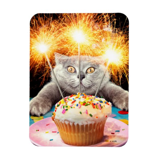 Kat met Sparkler Cupcake Magneet (Verticaal)