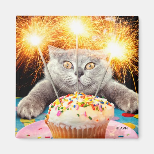 Kat met Sparkler Cupcake Magneet (Voorkant)