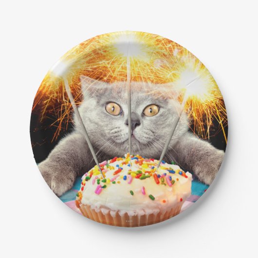Kat met Sparkler Cupcake Papieren Bordje (Voorkant)