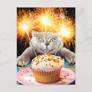 Kat met Sparkler Cupcake Uitnodiging Briefkaart