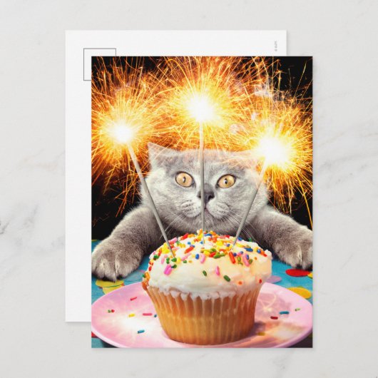 Kat met Sparkler Cupcake Uitnodiging Briefkaart (Voorkant / Achterkant)
