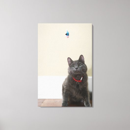 Kat met speelgoed canvas afdruk (Voorkant)