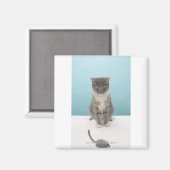 Kat met speelgoed muis op tapijt magneet (Voorkant / Achterkant)