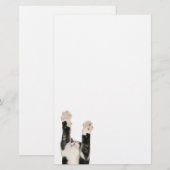 Kat met speelse katjes briefpapier (Voorkant / Achterkant)