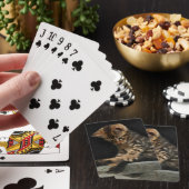 Kat met staart speelkaarten (Insitu)