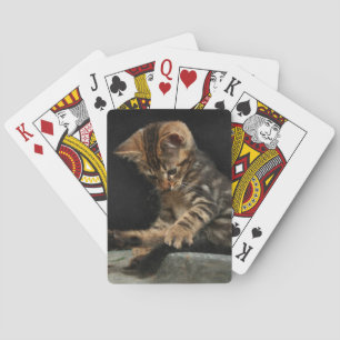 Kat met staart speelkaarten