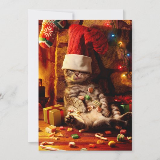 Kat met stop op kop kaart (Voorkant)