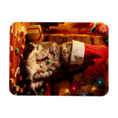 Kat met stop op kop magneet (Horizontaal)