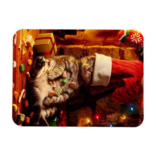 Kat met stop op kop magneet (Horizontaal)