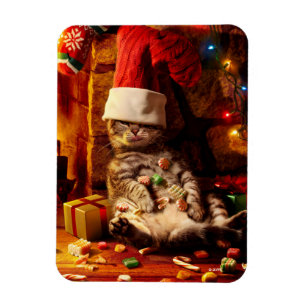 Kat met stop op kop magneet