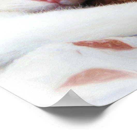 Kat met Teddy Bear Print (Hoek)