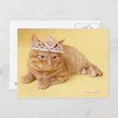 Kat met tiara briefkaart (Voorkant / Achterkant)