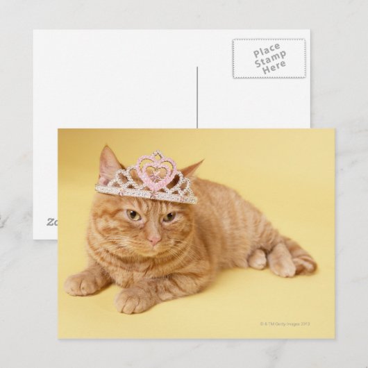 Kat met tiara briefkaart (Voorkant / Achterkant)