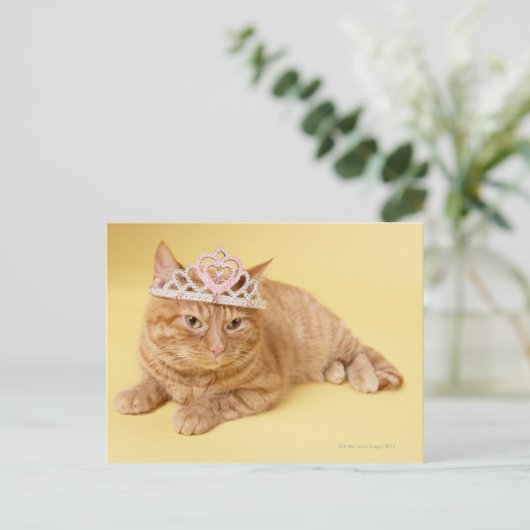 Kat met tiara briefkaart (Staand voorkant)