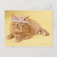 Kat met tiara