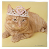 Kat met tiara tegeltje (Voorkant)