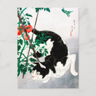 Kat met tomatenPlant - Hiroaki Takahashi - Cat Art Briefkaart