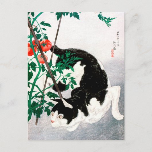 Kat met tomatenPlant - Hiroaki Takahashi - Cat Art Briefkaart (Voorkant)