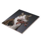 Kat met tong met geblindeerde buis tegeltje (Zijkant)