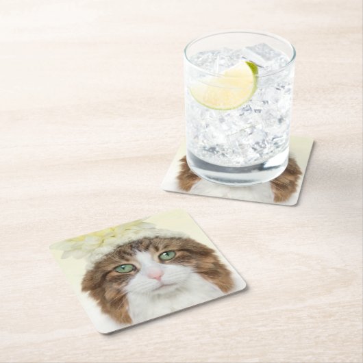 Kat met ventilator Pet Kartonnen Onderzetters (Insitu)