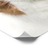 Kat met ventilator Pet Poster (Hoek)