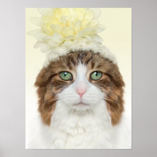 Kat met ventilator Pet Poster (Voorkant)