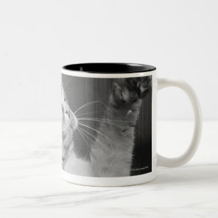 Kat met verhoogde poten (zwart-wit) tweekleurige koffiemok