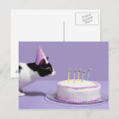 Kat met verjaardagscadeau pet blaast kaarsen uit o briefkaart (Voorkant / Achterkant)
